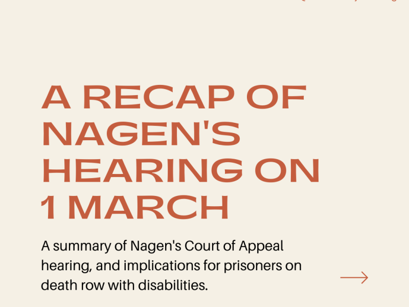 Recap of Nagen’s Court of Appeal&nbsp;Hearing