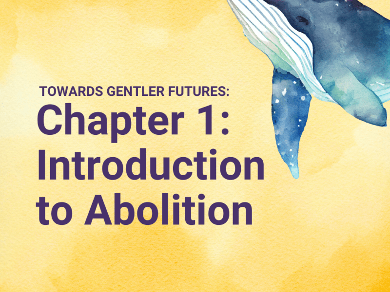 [Towards Gentler Futures] Chapter 1: Introduction to&nbsp;Abolition